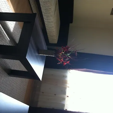 Vilele Soarelui Maison d'hôtes Neptun