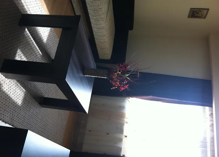 Vilele Soarelui Konukevi Neptun