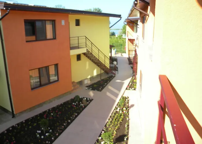 Vilele Soarelui Neptun